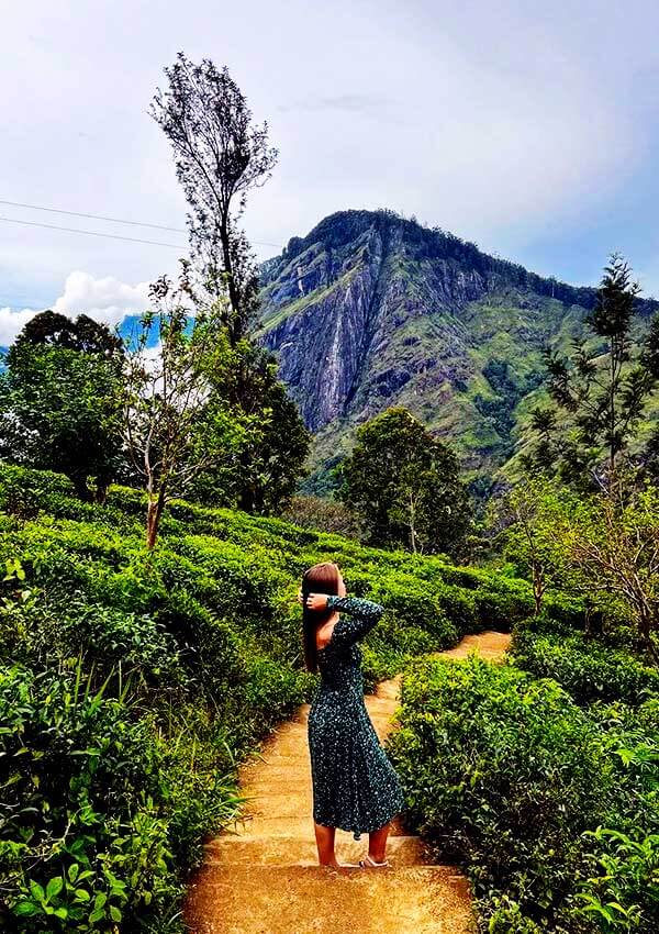 Signature Sri Lanka 08 Days Tour