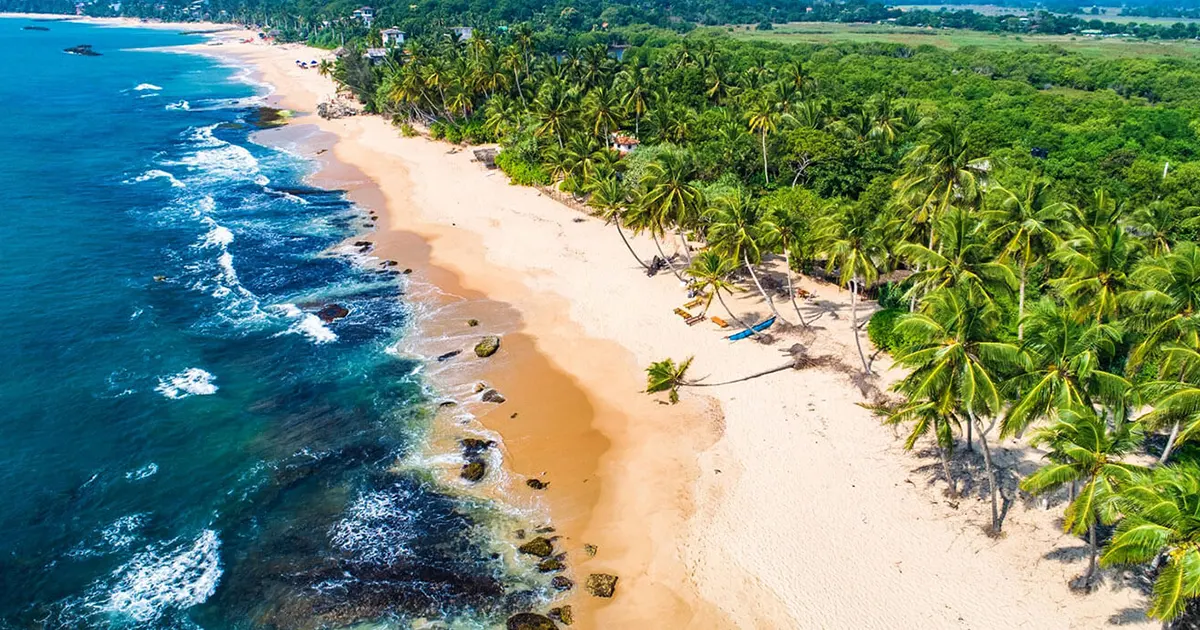 Sri Lanka wildlife safari and elephant encounters - Olanka Tours