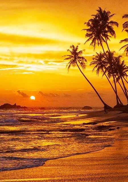 Golden Coastlines