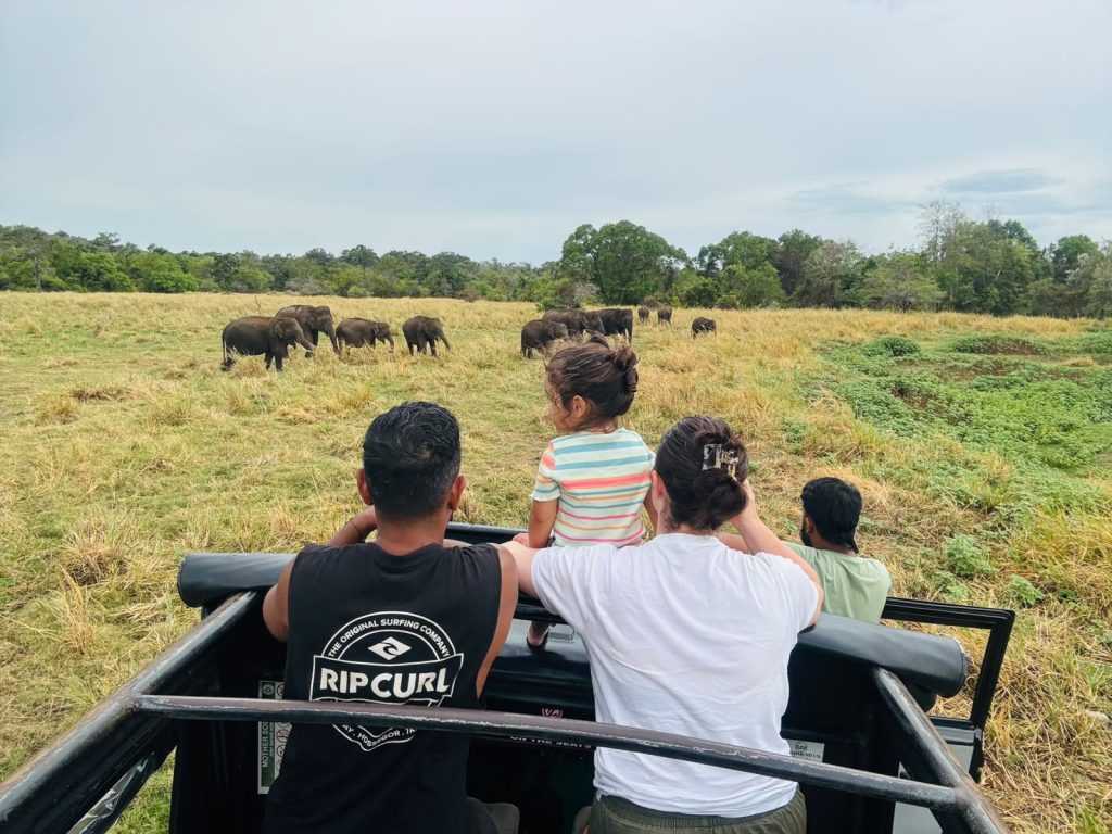 Authentic travel experiences across Sri Lanka with Olanka Tours