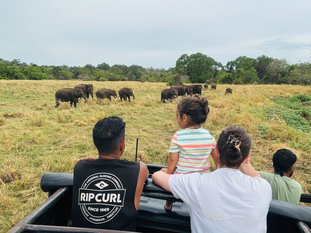 Scenic landscapes and unforgettable holiday moments in Sri Lanka - Olanka Tours