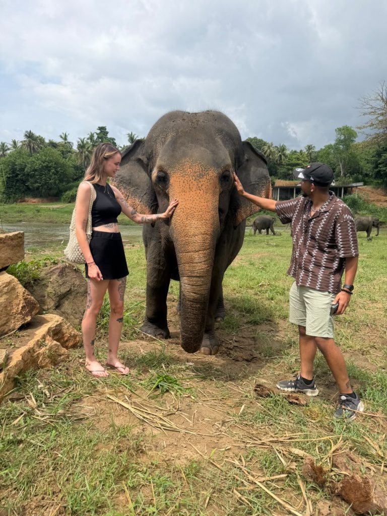 Unforgettable Sri Lankan holiday moments with Olanka Tours