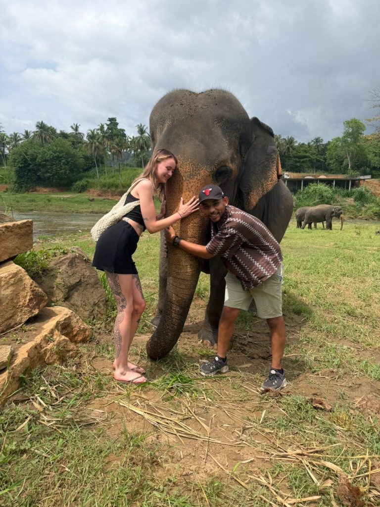 Scenic travel and cultural discovery with Olanka Tours in Sri Lanka