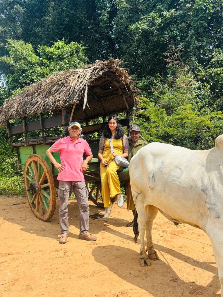 Island travel moments and sightseeing with Olanka Tours Sri Lanka