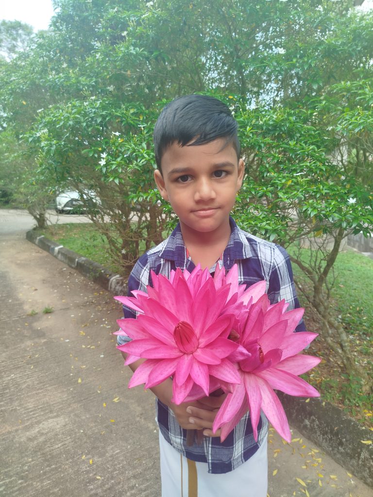 Unforgettable Sri Lankan holiday moments with Olanka Tours