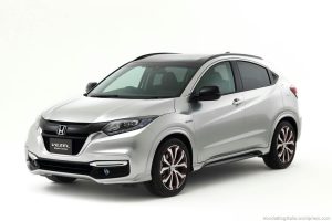 Mini SUV - Olanka Tours